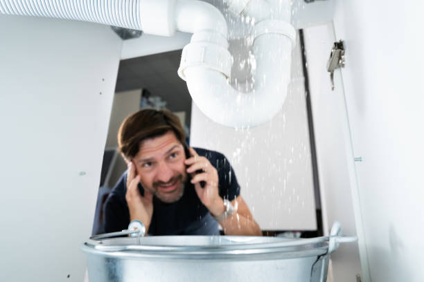 Best Sewer Line Repair  in Paradise, NV
