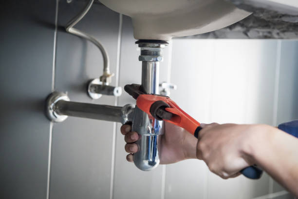 Best Residential Plumbing Services  in Paradise, NV